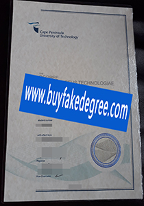 Cape Peninsula University of Technology degree