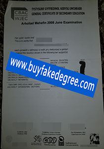 Cbac Wjec gcse