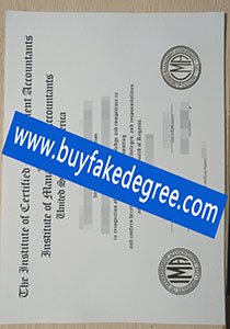 Certified Management Accountant certificate