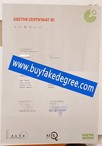 Goethe Zertifikat B1 certificate