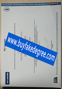 KU Leuven degree