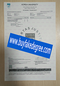 Korea University degree