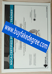 NSCA certificate