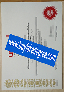 Unisel degree