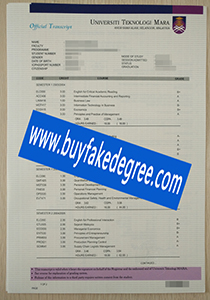 University Teknologi Mara transcript
