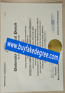 University of Central Punjab degree