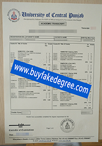 University of Central Punjab transcript