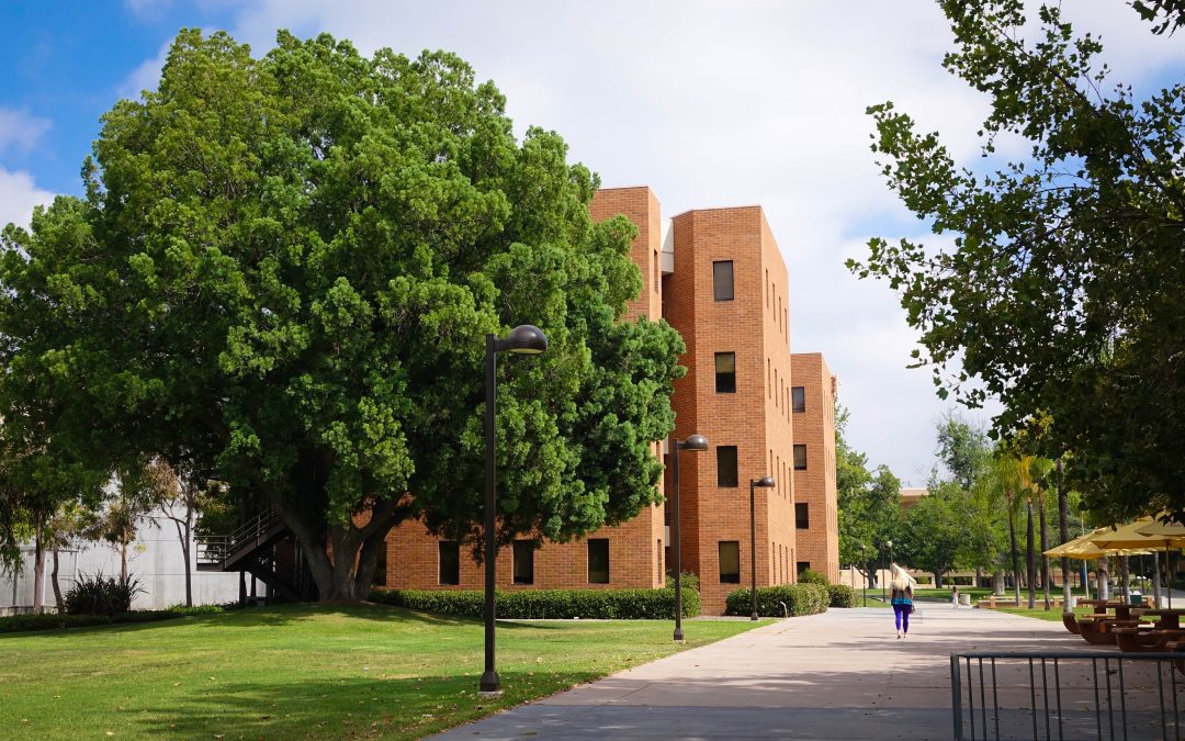 Who Needs to Buy Fake Diploma of California State University Northridge?