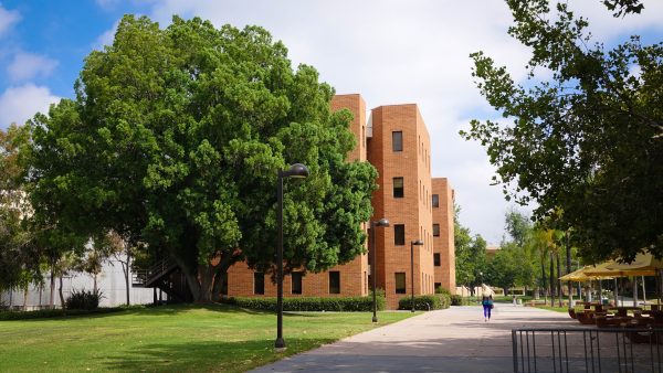 California State University Northridge