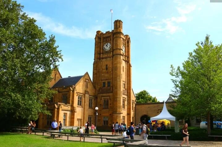 How Can I Shopping Fake Chartered Accountants Australia and New Zealand Diploma?