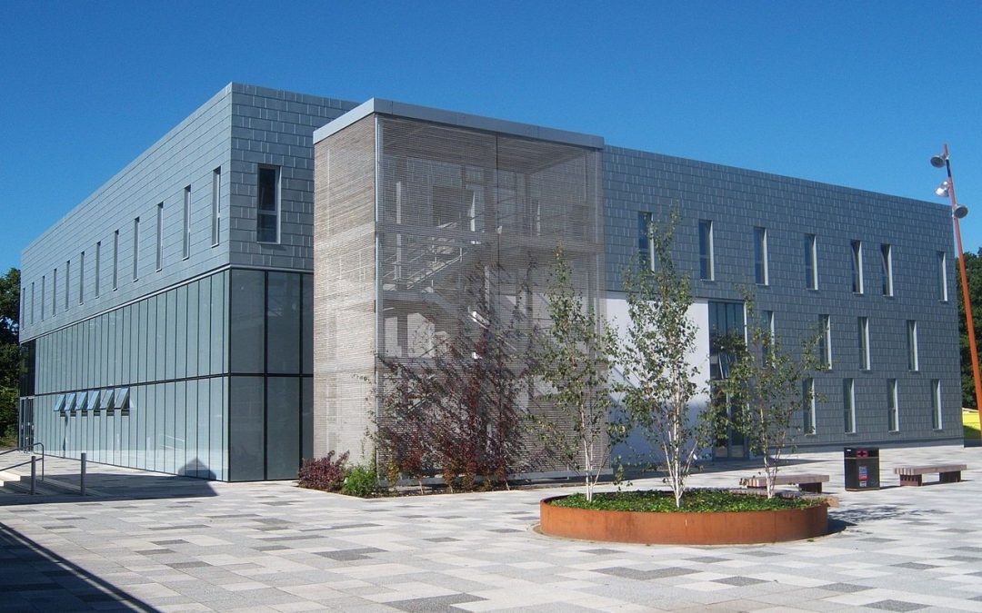 Whose Fake Chartered Institute of Management Accountants Diploma Is The Best Quality?