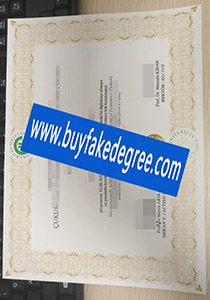 Cukurova University degree