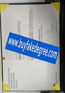 Eidgenössische Technische Hochschule Zürich degree