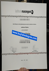 Istituto Marangonim degree