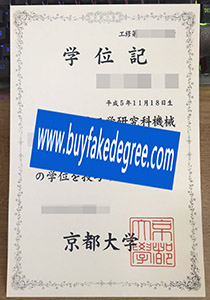 Kyoto University degree
