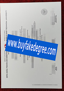 Middle East Technical Universiry degree