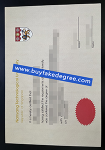 Nanyang Technological University degree