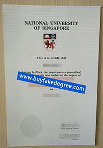 National University of Singapore degree