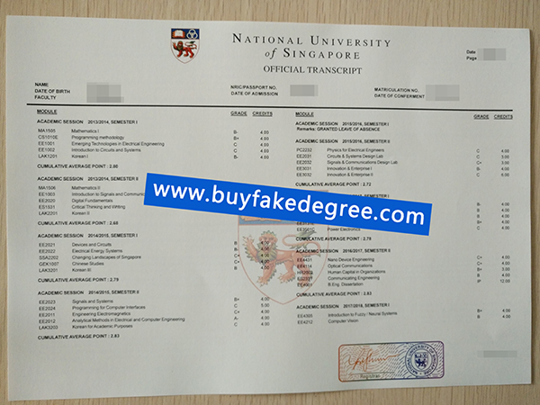 National University of Singapore transcript