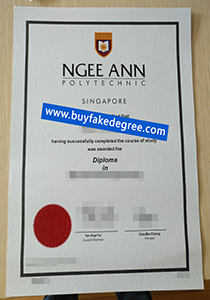 Ngee Ann degree