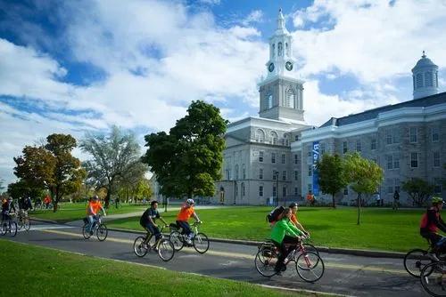 Whose Fake SUNY University at Buffalo Diploma Is The Best Quality?