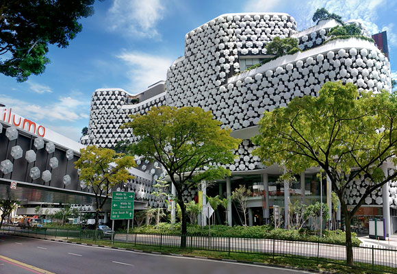 When Do People Have to Buy Fake Singapore Cambridge General Diploma?