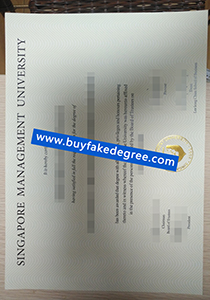Singapore Management University degree