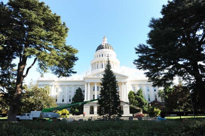 Whose Fake State of California Apostille Diploma Is The Best Quality?