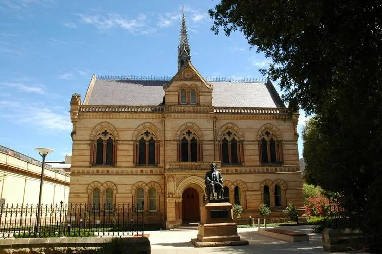 Fake Taiz University Diploma