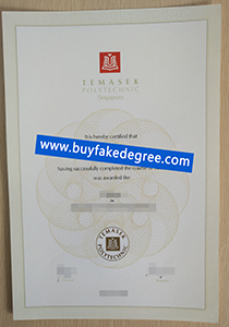 Temasek Polytech degree