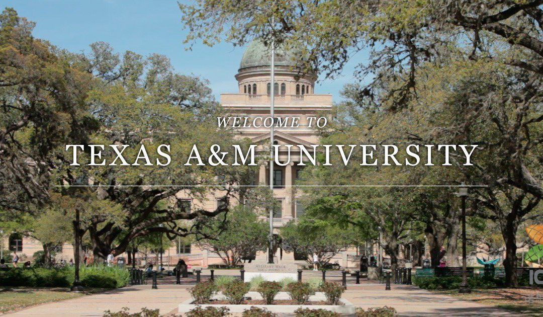 Why Do Fake Texas A&M University Commerce Diploma So Popular?