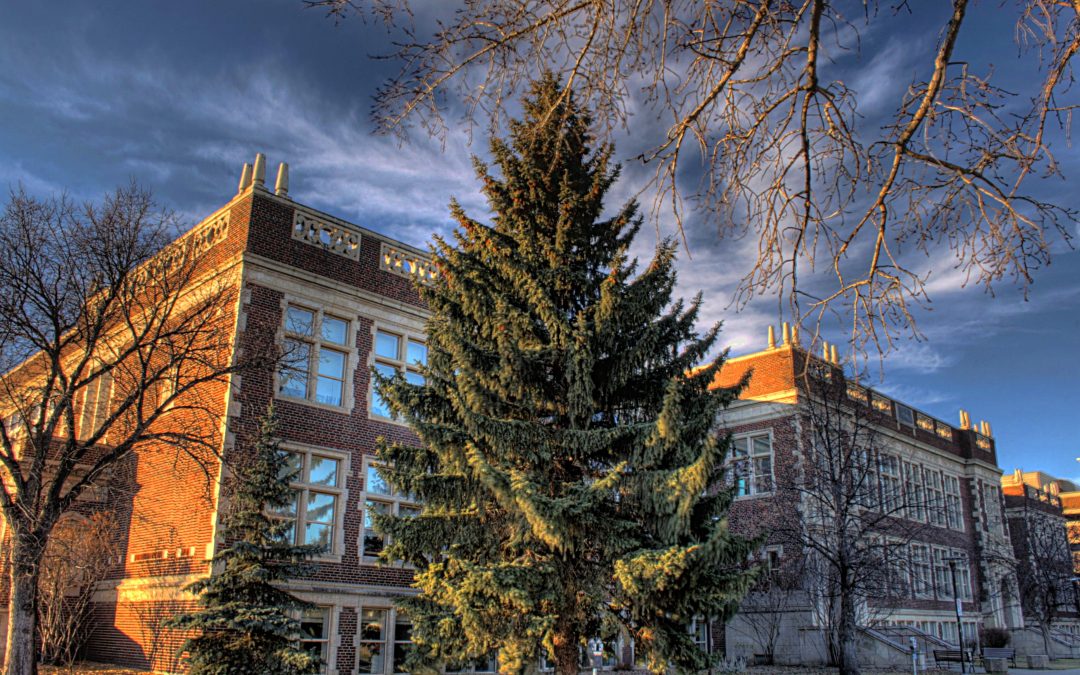 How Can I Shopping Fake University of Alberta Diploma?