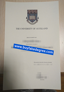 University of Auckland degree