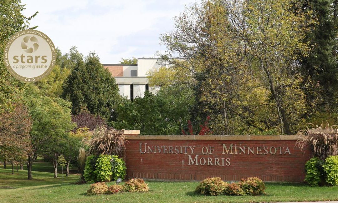 Whose Fake University of Minnesota Diploma Is The Best Quality?