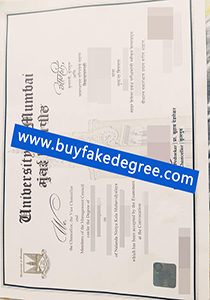 University of Mumbai degree