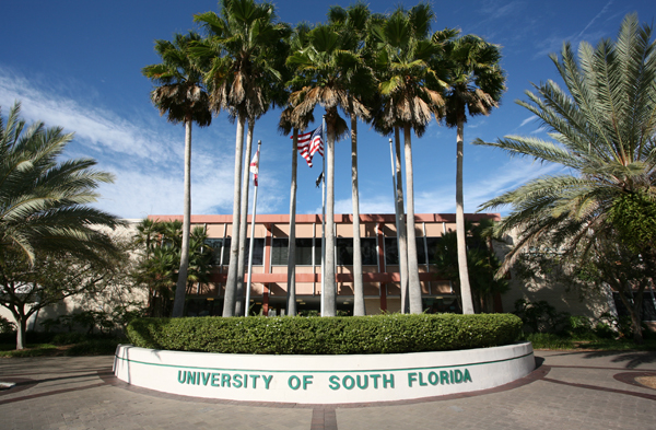 When Do People Have to Buy Fake University of South Florida Diploma?