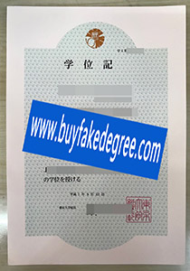 University of Tokyo degree