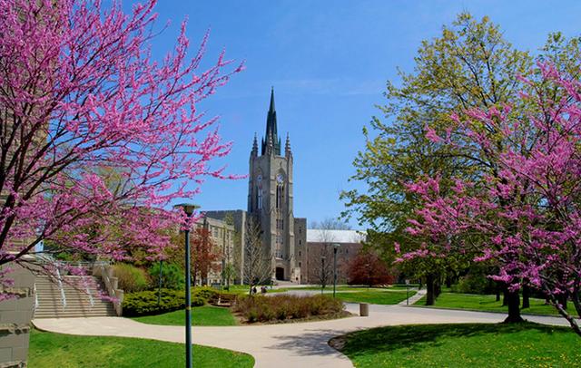 Who Needs to Buy Fake Diploma of University of Western Ontario?