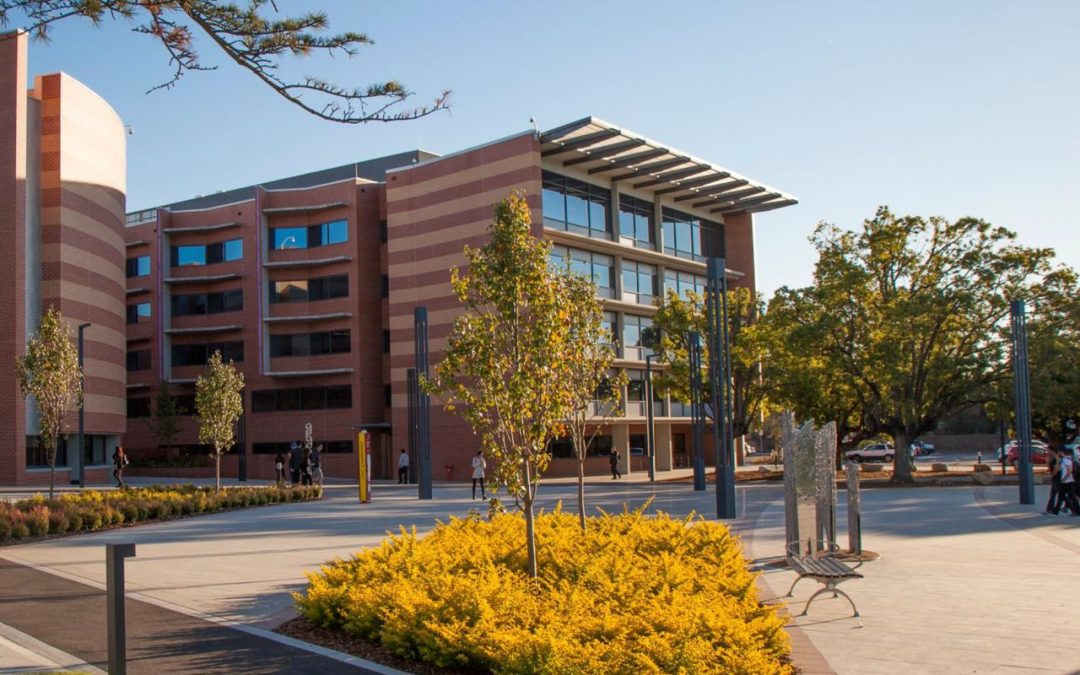 Fake University of Western Sydney Diploma