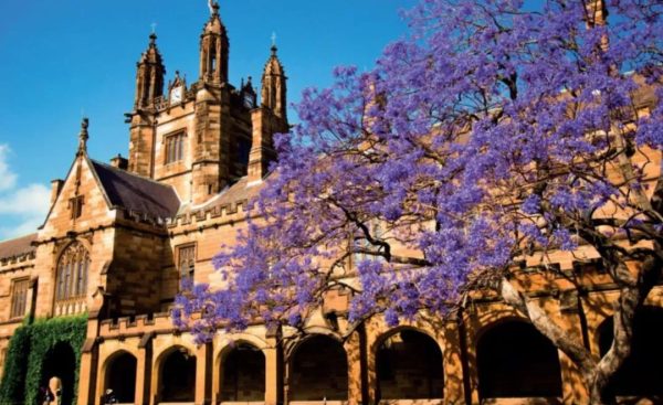 Victorian Certificate of Education