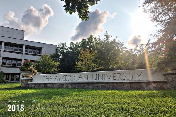 American University diploma