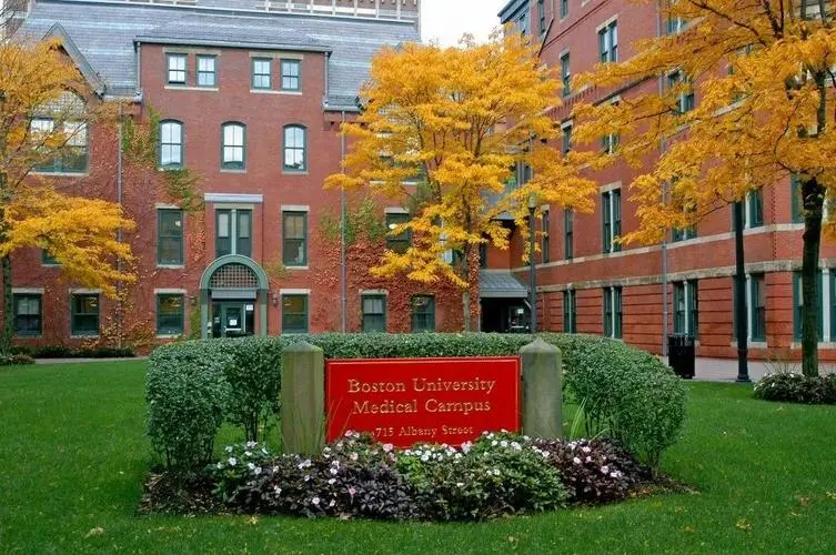 Boston University Diploma