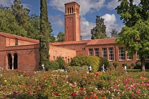 California State University Chico Diploma