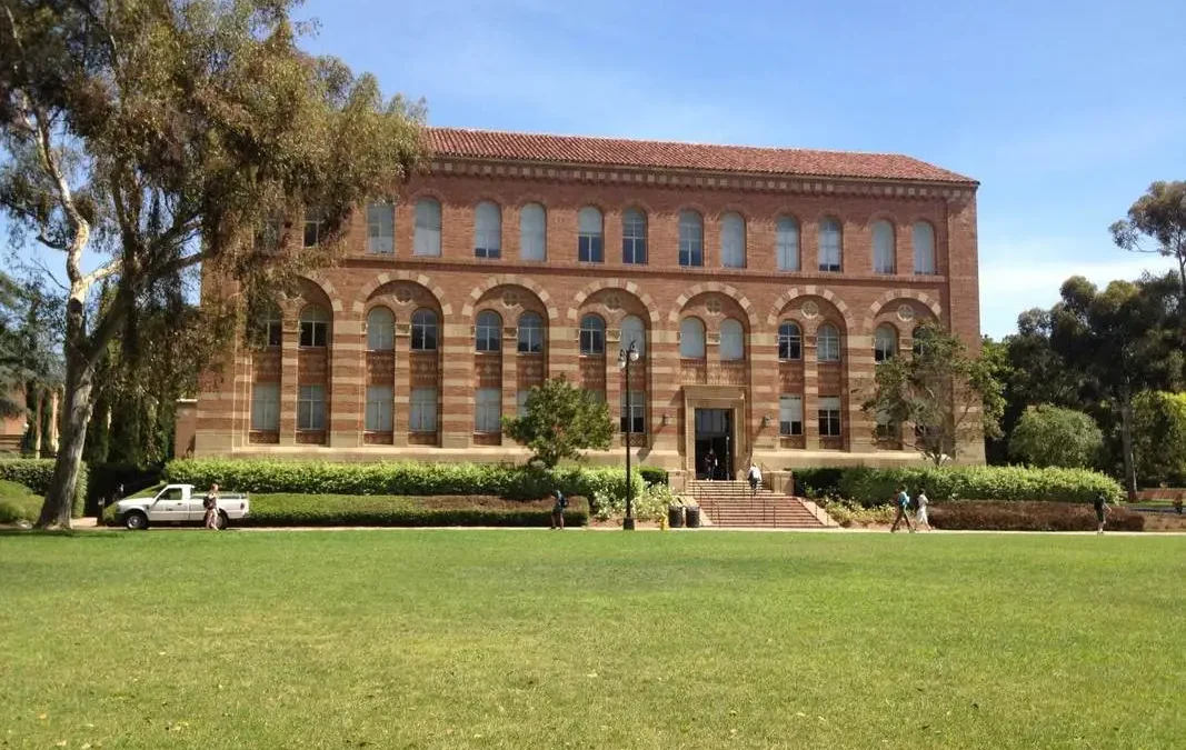 Fake California State University Los Angeles Diploma