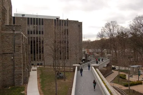 Loyola University Maryland Diploma