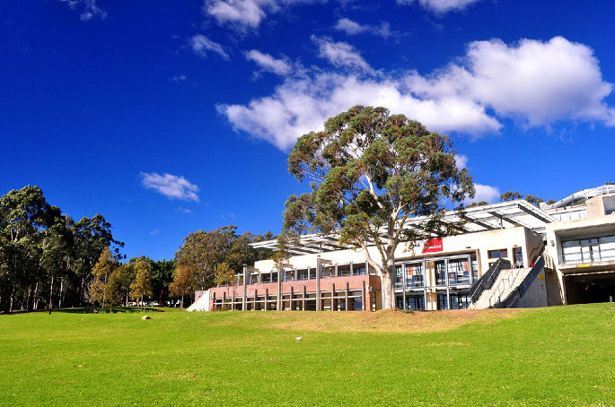 Whose Fake Macquarie University Diploma Is The Best Quality?