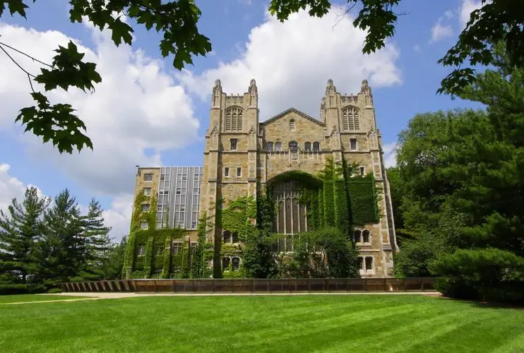 University of Michigan Degree